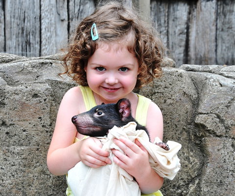 Australian Reptile Park - Accommodation Newcastle 8