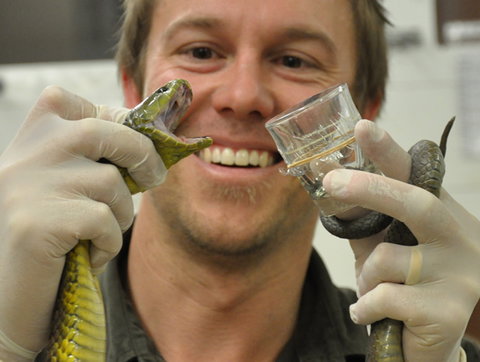 Australian Reptile Park - Accommodation Newcastle 9