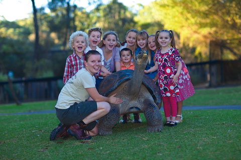 Australian Reptile Park - Accommodation Newcastle 11