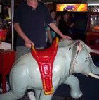 Twin Cities Tenpin Bowl - Accommodation Newcastle 3