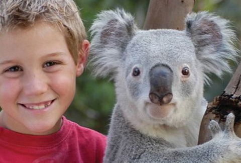 Featherdale Wildlife Park - Accommodation Newcastle 1