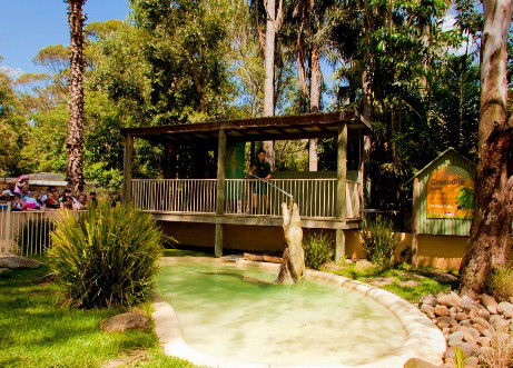 Featherdale Wildlife Park - Accommodation Newcastle 2