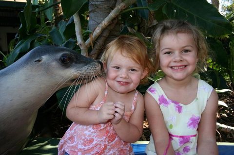 Dolphin Marine Magic - Accommodation Newcastle 0