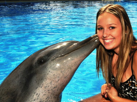 Dolphin Marine Magic - Accommodation Newcastle 3