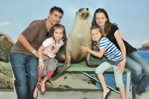 Dolphin Marine Magic - Accommodation Newcastle 6