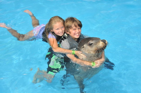 Dolphin Marine Magic - Accommodation Newcastle 9