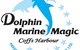 Dolphin Marine Magic - thumb 11