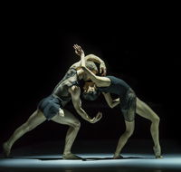 Sydney Dance Company - Accommodation Newcastle