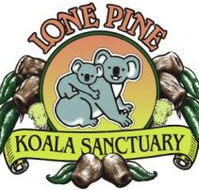 Lone Pine Koala Sanctuary - Accommodation Newcastle