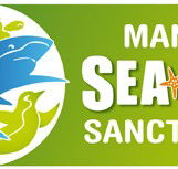 Manly SEA LIFE Sanctuary - Accommodation Newcastle