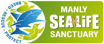 Manly SEA LIFE Sanctuary - Accommodation Newcastle 0