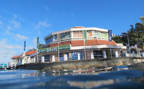 Manly SEA LIFE Sanctuary - Accommodation Newcastle 2