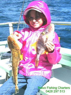 Bravo Fishing Charters - Accommodation Newcastle 5