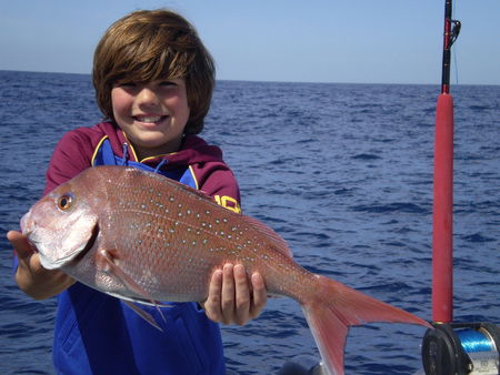 Mills Charters Fishing And Whale Watch Cruises - Accommodation Newcastle 4