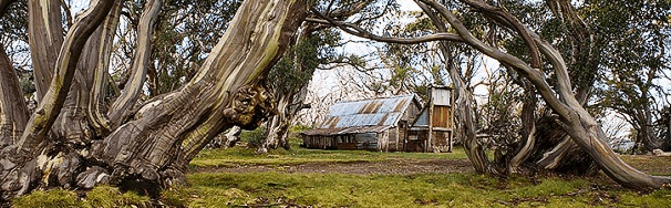 High Country Scenic Tours - Accommodation Newcastle