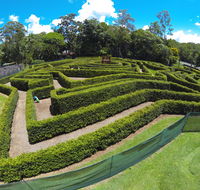 Bellingham Maze - Accommodation Newcastle
