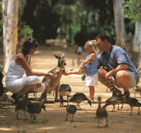 Billabong Sanctuary - Accommodation Newcastle