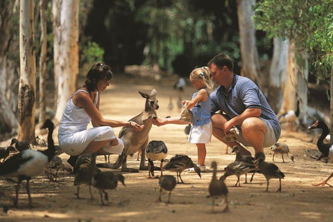 Billabong Sanctuary - Accommodation Newcastle 0
