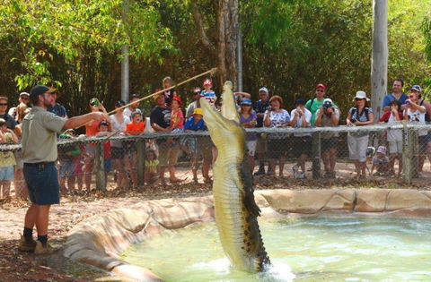 Billabong Sanctuary - Accommodation Newcastle 2