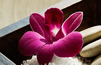 Blush Beauty Saloons - Accommodation Newcastle 4