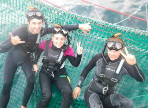 Dolphin Swim Australia - Accommodation Newcastle 7