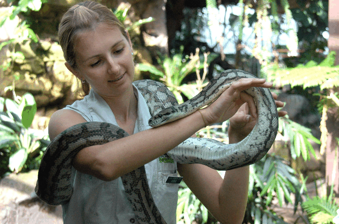 Cairns Wildlife Dome - Accommodation Newcastle 2