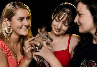 Cairns Night Zoo - Accommodation Newcastle 1