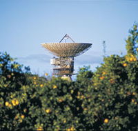 Big Dish - Accommodation Newcastle