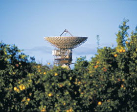 Big Dish - Accommodation Newcastle 0