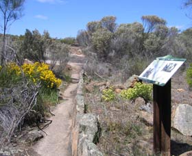 Mocardy WA Accommodation Newcastle