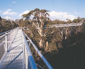  Accommodation Newcastle