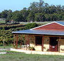 Vineyard 28 - Accommodation Newcastle