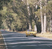 Ludlow Tuart Forest - Accommodation Newcastle