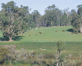 Scenic Drives - Bunbury Collie Donnybrook - Accommodation Newcastle 0
