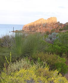 Meelup Trail - Accommodation Newcastle 0