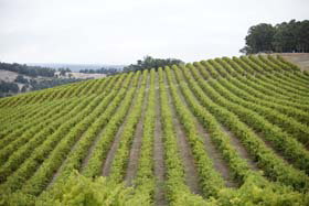 Henty WA Accommodation Newcastle