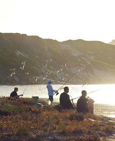 Culham Inlet - Accommodation Newcastle 0