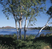 Celebrity Tree Park - Accommodation Newcastle