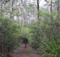 Margaret River Rails Trail - Accommodation Newcastle