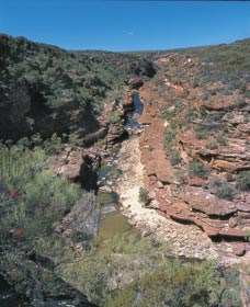 Ross Graham Lookout - Accommodation Newcastle 0