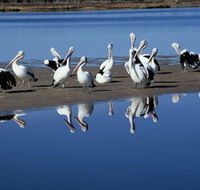 Peel Region Canoe Trails - Accommodation Newcastle