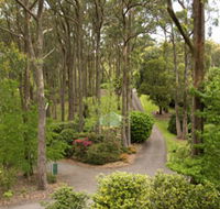Mount Lofty Botanic Garden - Accommodation Newcastle