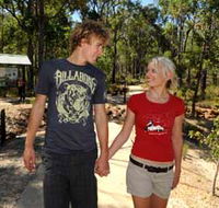 Crooked Brook Forest - Accommodation Newcastle