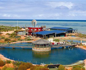Ocean Park Aquarium - Accommodation Newcastle 0