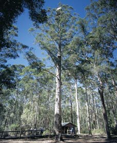 Wilgarrup WA Accommodation Newcastle