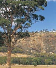 Mount Stirling - Accommodation Newcastle 0