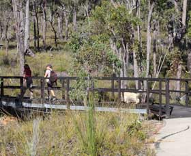 Forest Path, Crooked Brook - Accommodation Newcastle 0