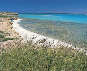 Paradise Beach - Accommodation Newcastle 0