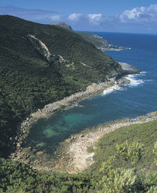 Jimmy Newells Harbour - Accommodation Newcastle 0