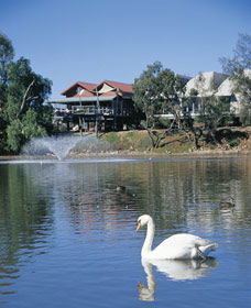 White Swans - Accommodation Newcastle 0